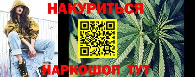 дмт Бийск