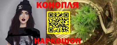 дмт Бийск