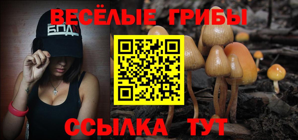 Галлюциногенные грибы Psilocybe Жуковский